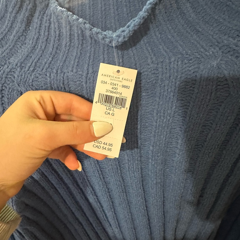American Eagle Outfitters Blue V-Neck Sweater